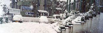 Hotel De Park Shimla Exterior foto